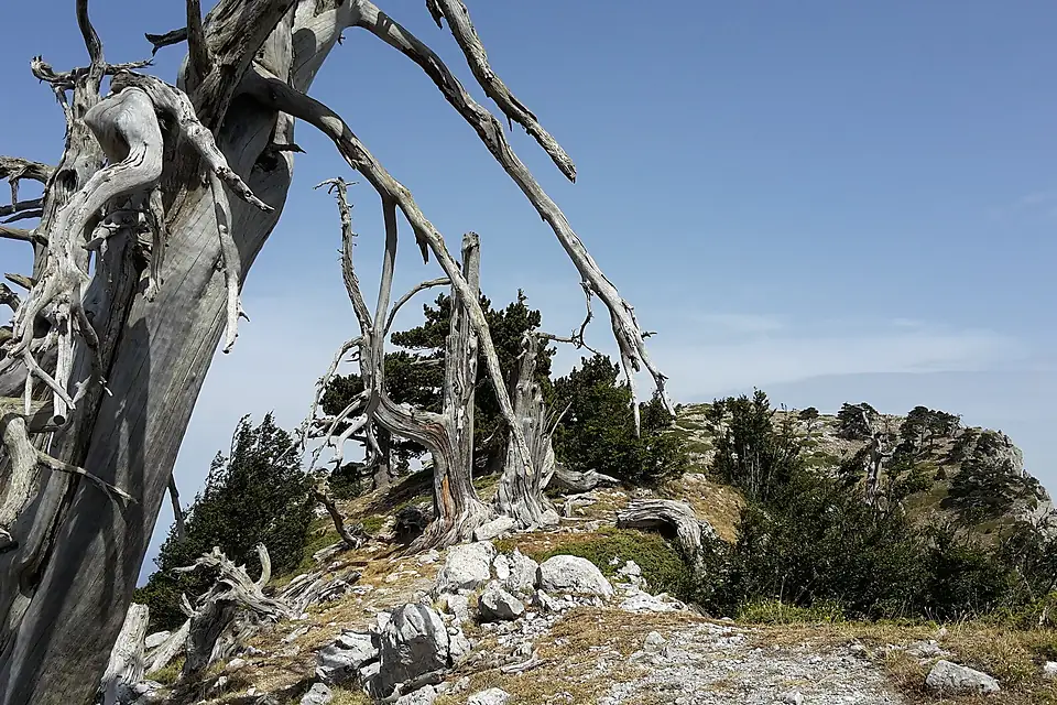 Massiccio del Pollino, Serra di Crispo - giardino degli dei