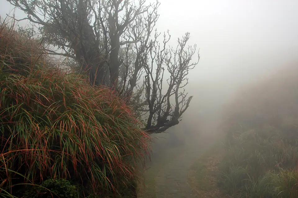 Cising mountains, Yangmingshan National Park (七星山山腰) - panoramio (2)