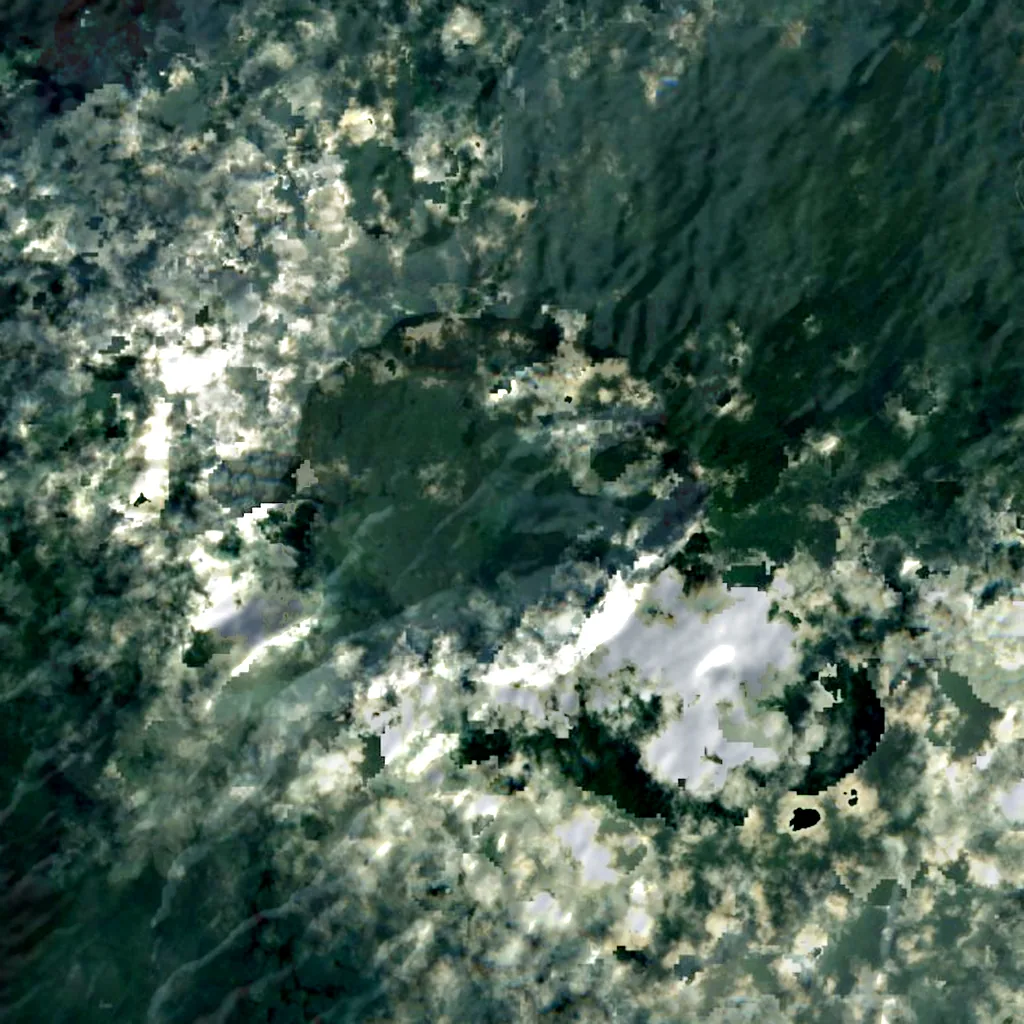 San Carlos seen from above (Sentinel-2)