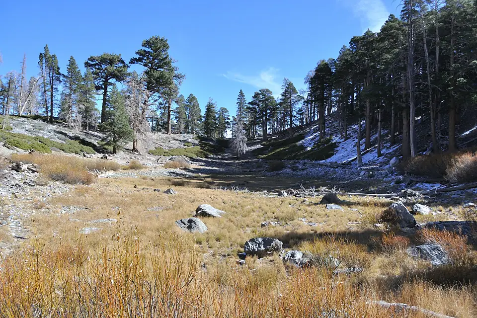 028 Dollar Lake Views (2)