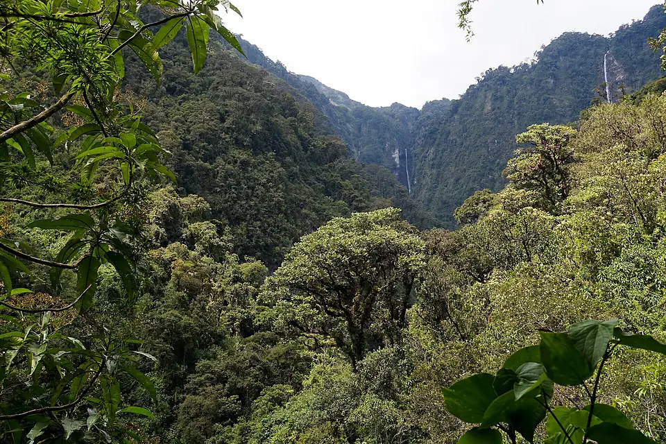Huandisagua, Sangay-Nationalpark