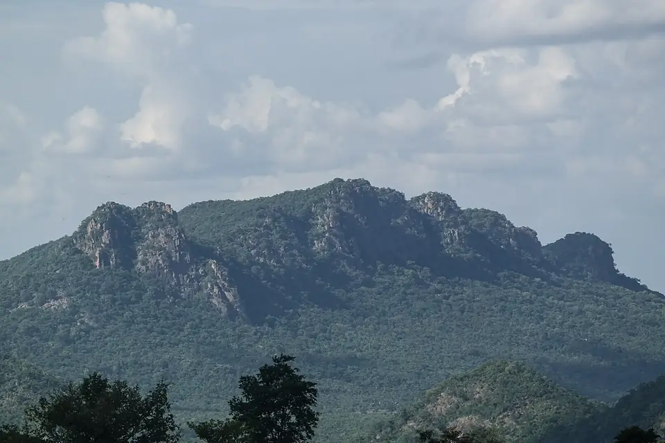 A view from shere hills
