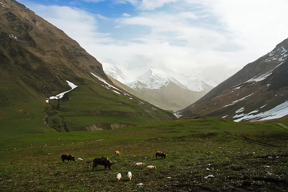 Ushguli Village, Svaneti, view of Shkhara mountain