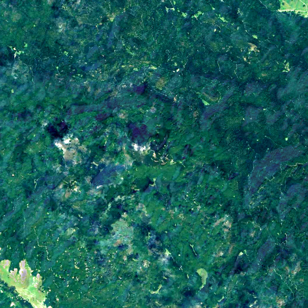 Snežnik seen from above (Sentinel-2)