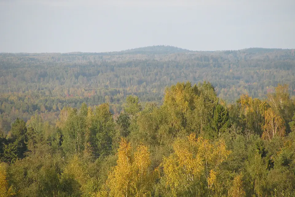 View from Druskās (Korneti) hillfort to Suur Munamägi
