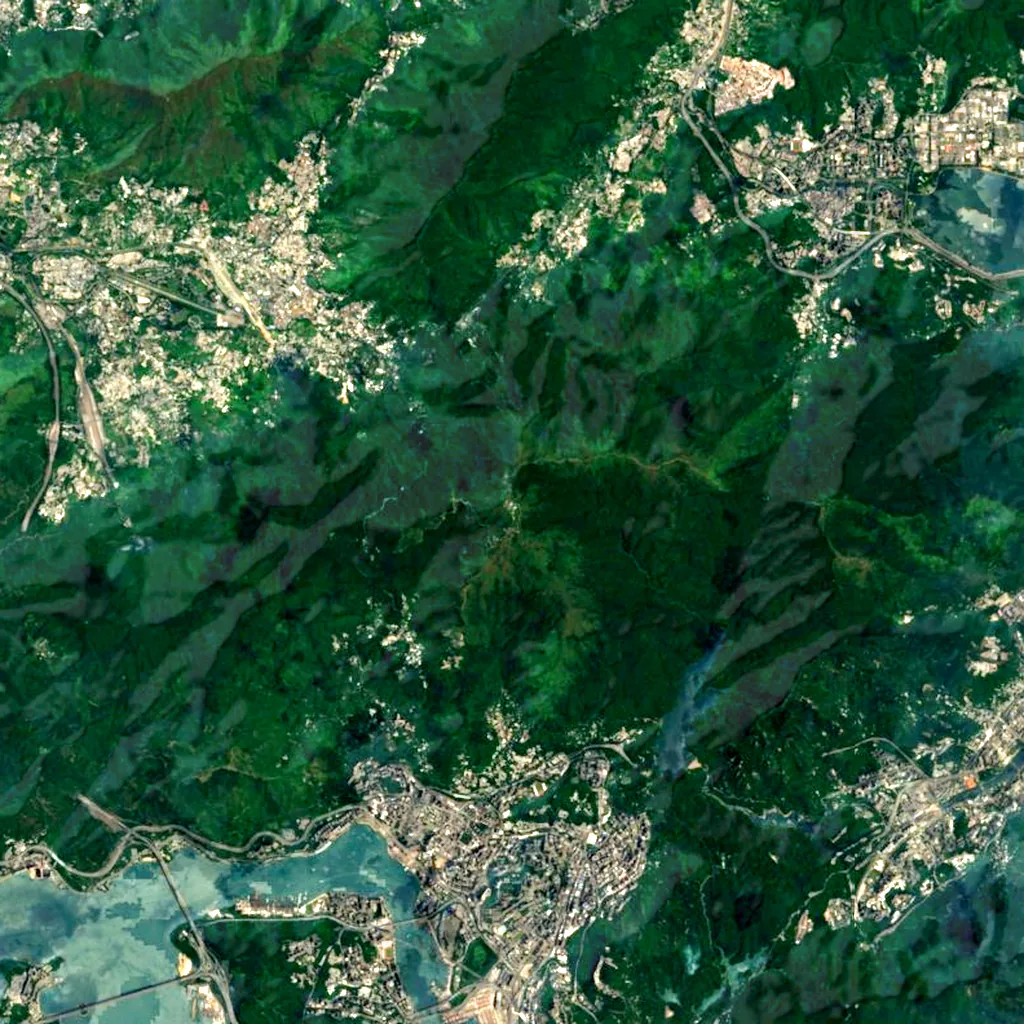 Tai Mo Shan seen from above (Sentinel-2)