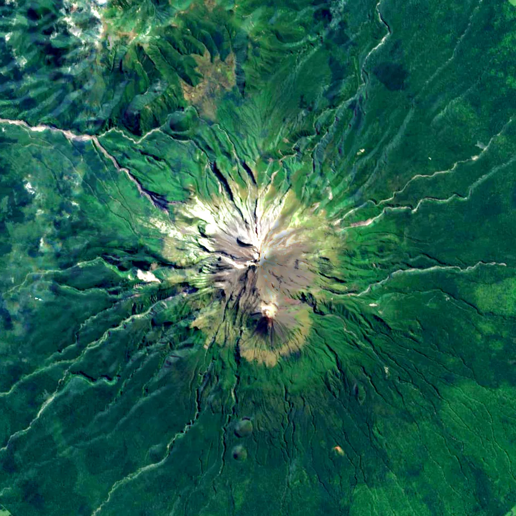 Taranaki Maunga seen from above (Sentinel-2)