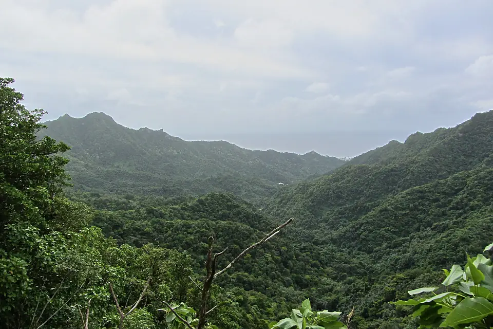 View from Te Rua Manga (7189164931)