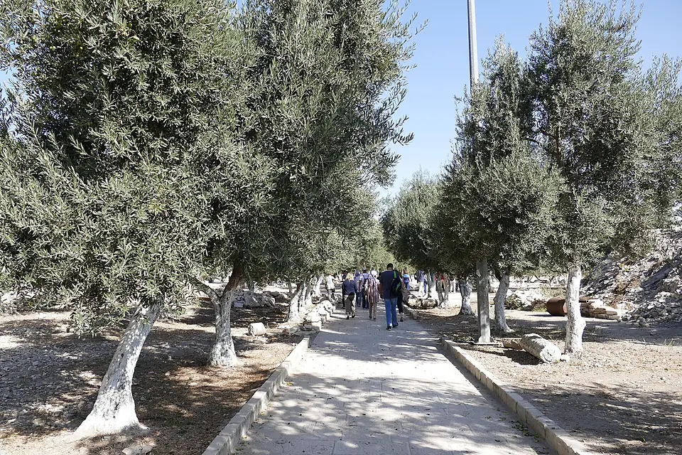 Jerusalem-Temple-Mount-KTM-0873