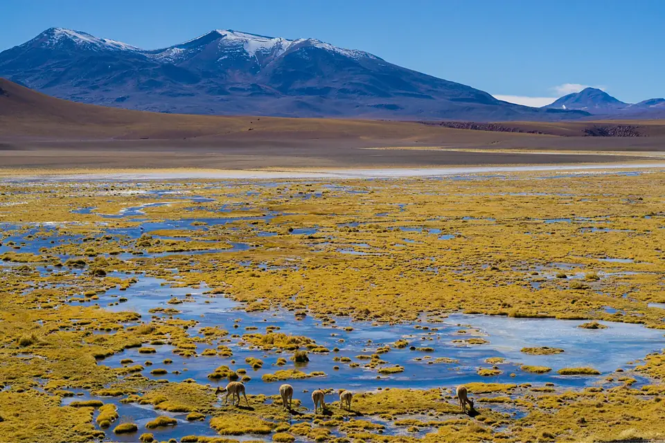 Atacama
