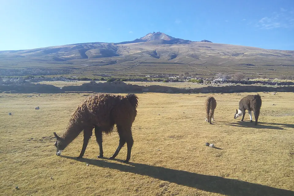 Near Tunupa volcano (Uyuni, Bolivia) (36813098376)