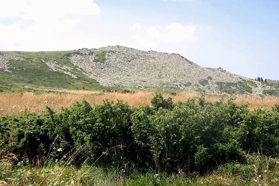 A scree and bushes at Vitosha mountain top - panoramio