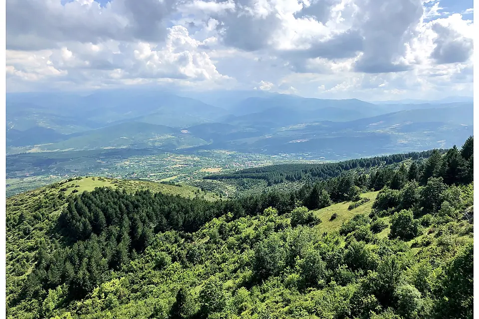Green view (28991642878)