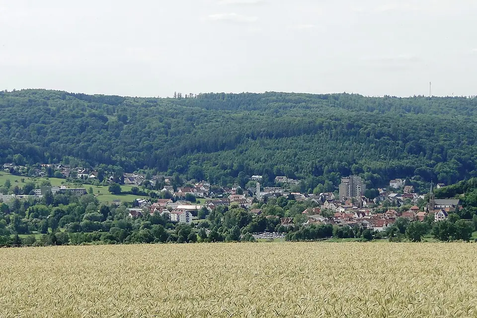 Bad Soden view