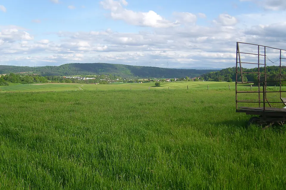 Burgholz und Vogelsberg von Wolfskaute 2024-05-05 (Elop)