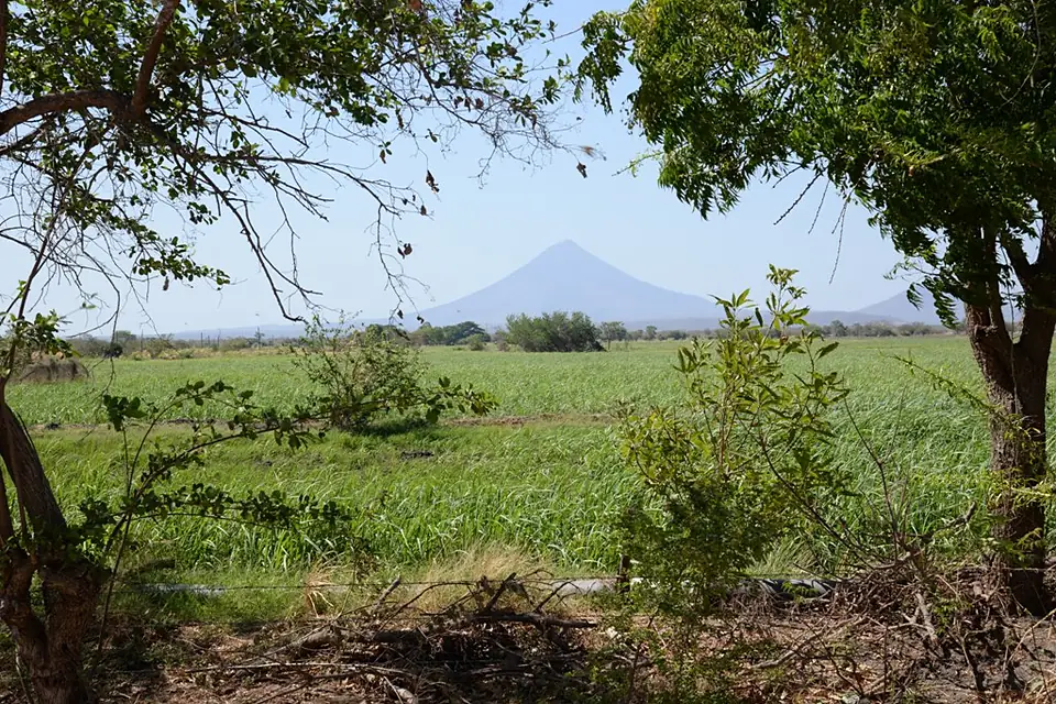 Larreynaga Campo