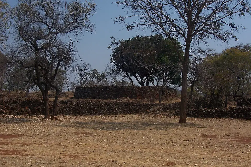 Ziwa enclosure trees